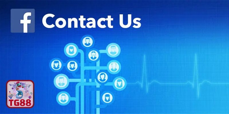Liên Hệ TG88 - 4 phương thức Liên Hệ TG88 phổ biến và hiệu quả