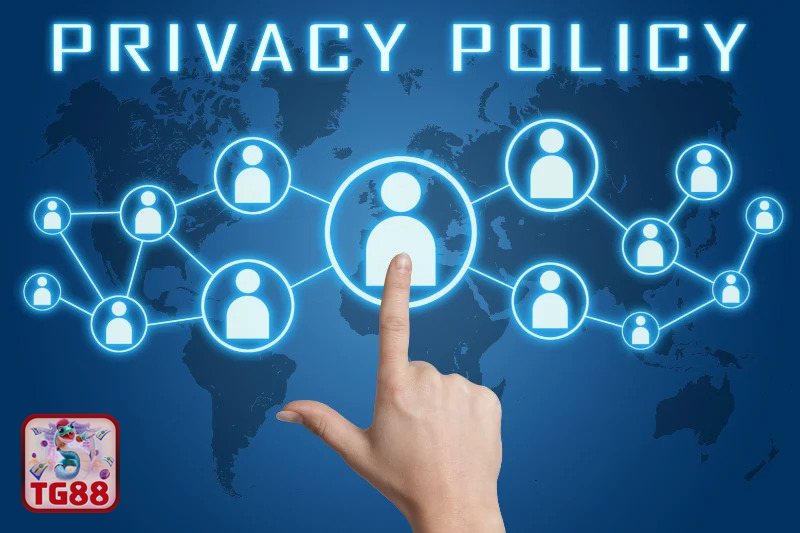Chính Sách Bảo Mật TG88 - Những loại dữ liệu có thể được thu thập