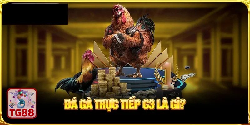 Đá gà cựa dao - Đặt ranh giới với nội dung kích thích