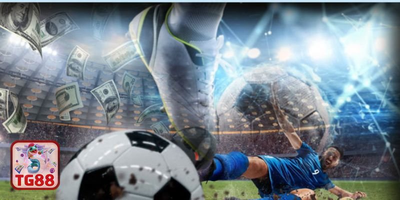 Thể thao SBO - Vì sao thương hiệu này được nhiều người nhắc đến? Thể thao SBO - Vì sao thương hiệu này được nhiều người nhắc đến?